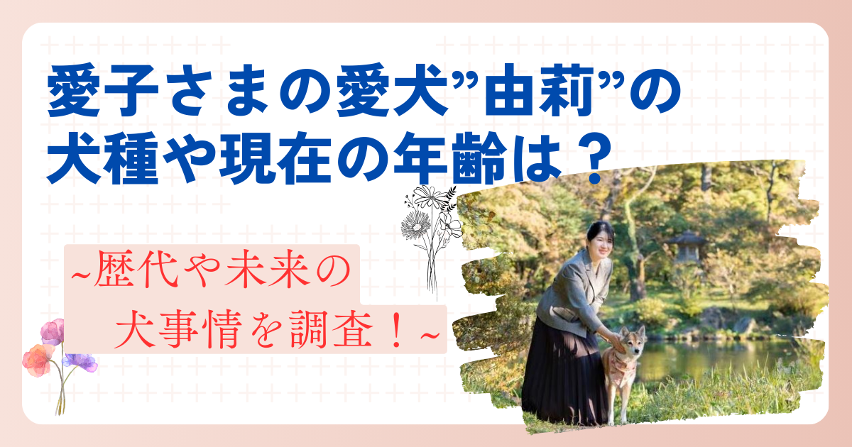 愛子さまの愛犬”由莉”の犬種や現在の年齢は？歴代や未来の犬事情を調査！